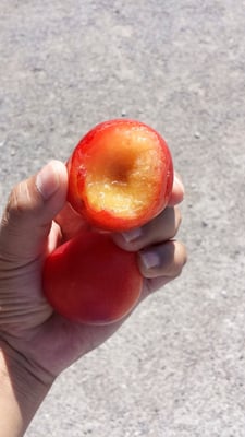 Imagen de ciruela