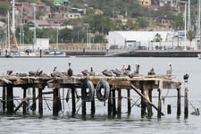 Imagen de Miramar, Guaymas Sonora