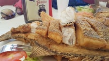 Imagen de Volvimos a las tórtolas por esas lobinas tan deliciosas