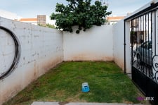 Imagen de Pastito
