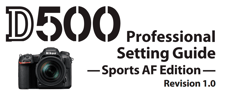 Imagen de Guía de configuración profesional para deportes Nikon D500