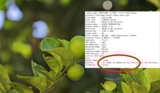 Imagen de Escribir con UTF-8 en etiquetas IPTC