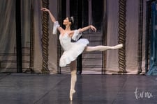 Imagen de El Cascanueces, fotografías del ballet
