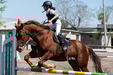 Imagen de Tercer concurso de salto ecuestre 2019, Hípico La Cabaña