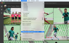 Imagen de Copiar y pegar ajustes a todas las fotos en Adobe Photoshop Lightroom 2019