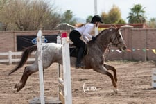 Imagen de Concurso de salto Las Brisas