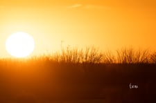 Imagen de Puesta de sol