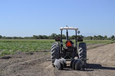 Imagen de Se agrava crisis agrícola en La Laguna debido a la sequía
