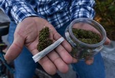 Imagen de El uso lúdico de marihuana reta a reglamento de empresas en Monclova