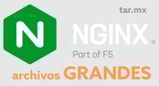 Imagen de Configurar Nginx para subir archivos grandes